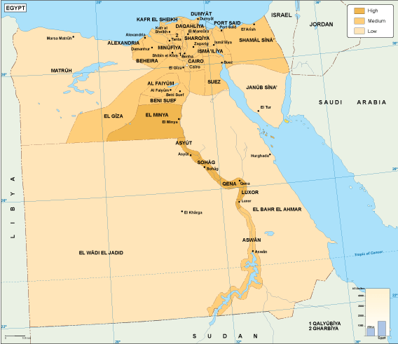 Egypt economic illustrator map | Digital Maps. ©Netmaps UK.