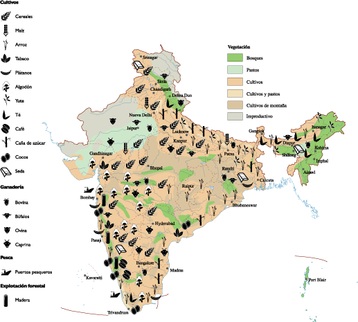 india Agricultural map Digital - India Agricultural Map