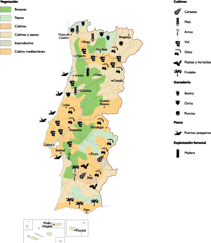 Road map of Algarve with cities and airports, Algarve, Portugal, Europe, Mapsland